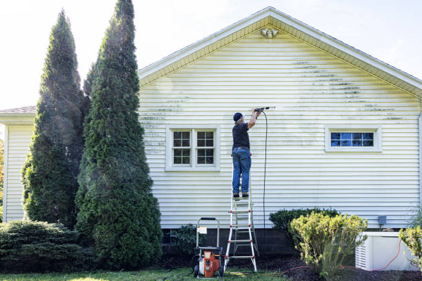 Best Solar Panel Cleaning  in Troy, MI